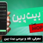 معرفی، نقد و بررسی بیت پین