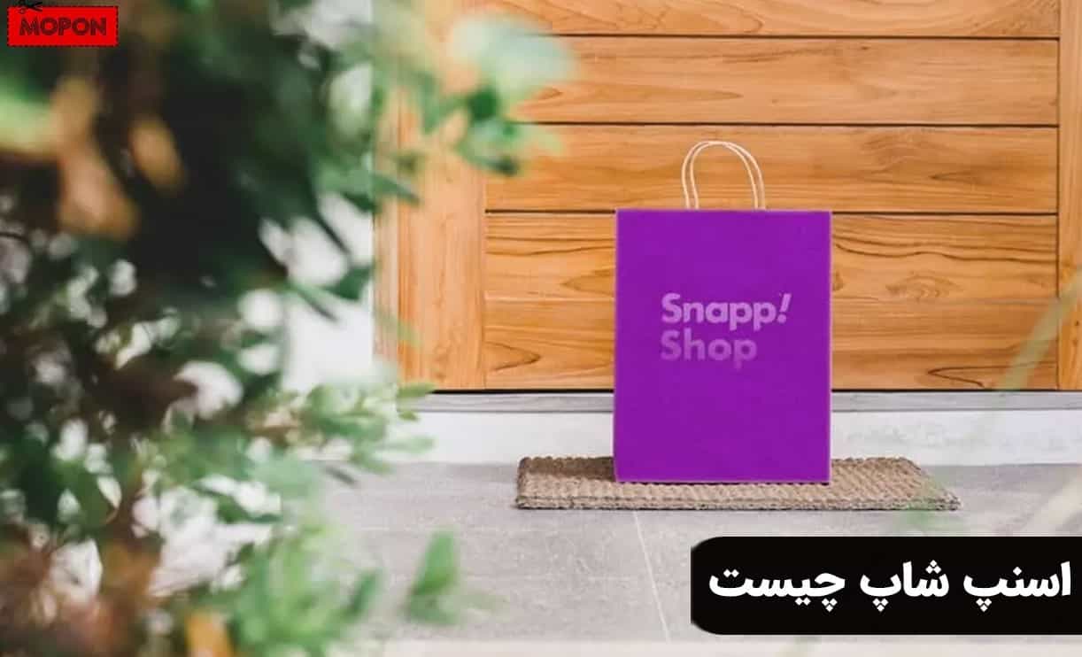 اسنپ شاپ چیست