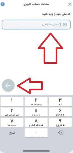 وارد کردن کد ملی