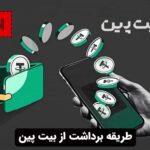 طریقه برداشت از بیت پین
